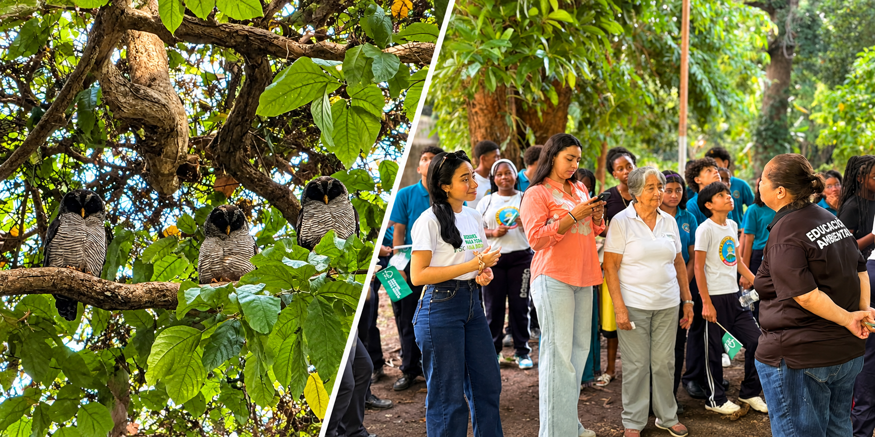 Estudiantes promueven el cuidado de los bosques