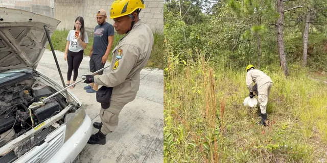 Serpiente sorprende al ser encontrada dentro del motor de un vehículo en Santa Rosa de Copán